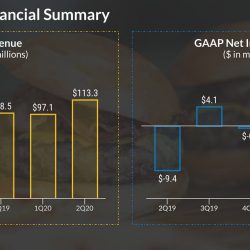 Beyond Meat (BYND) Q2 2020 earnings - Financial summary