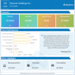Boomer Holdings Q3 2020 earnings