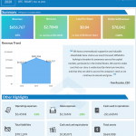 RESAAS Services FY20 earnings