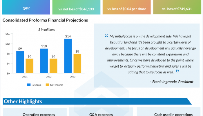 International Land Alliance ILAL Q1 2021 earnings