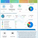 Hasbro Q2 2022 Earnings Infographic