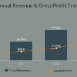 Plastiq Annual Revenue & Gross Profit Trend