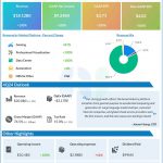 Nvidia Q3 2024 earnings infographic