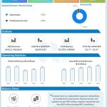 CrowdStrike Q4 2024 earnings infographic