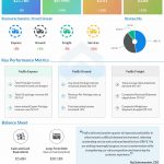 FedEx Q3 2024 Earnings Infographic