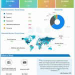 Nike Q3 2024 earnings infographic