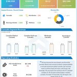 Tilray Q3 2024 earnings infographic