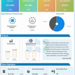 Broadcom Q2 2024 earnings infographic