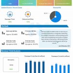 Carnival Corporation Q2 2024 earnings infographic