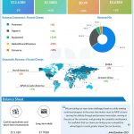 Nike Q4 2024 earnings infographic