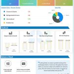 Conagra Brands Q4 2024 earnings infographic
