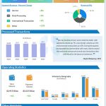 Visa Q3 2024 earnings infographic