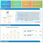 Niu Q4 2024 earnings infographic