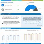 JD.com Q1 2025 earnings infographic